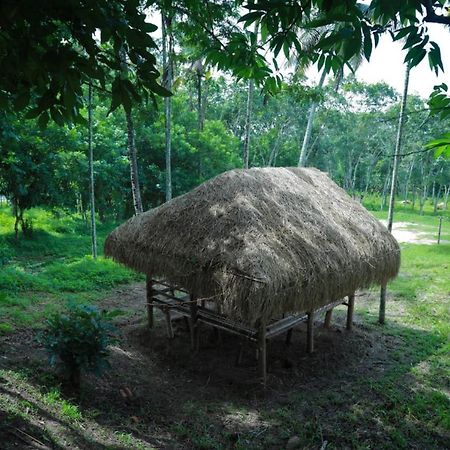 Royal Wooden Villa Mananthavady Ngoại thất bức ảnh