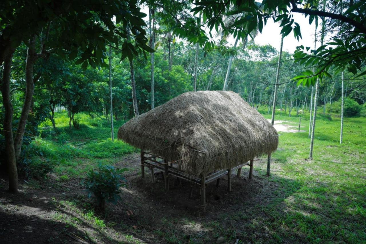 Royal Wooden Villa Mananthavady Ngoại thất bức ảnh
