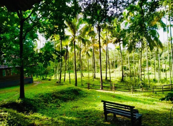 Royal Wooden Villa Mananthavady Ngoại thất bức ảnh
